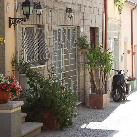 Back To The Past * Όλμπια